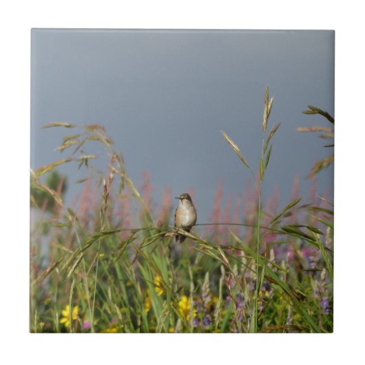 太った小さなハチドリ タイル (正面)