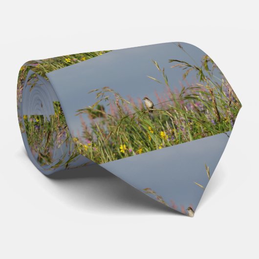 太った小さなハチドリ ネクタイ (ロール)