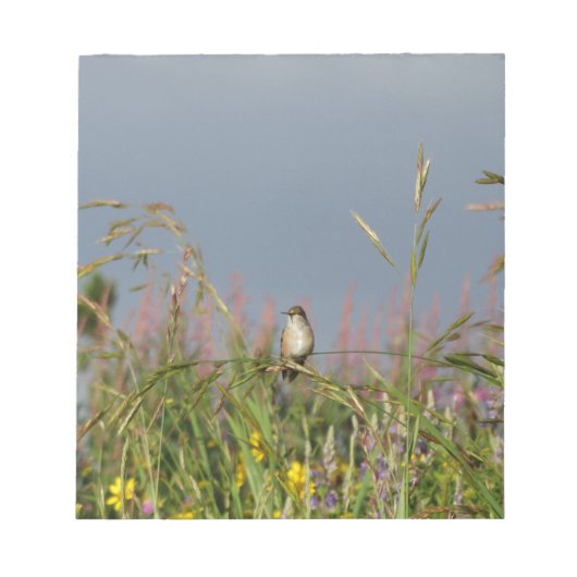 太った小さなハチドリ ノートパッド (正面)