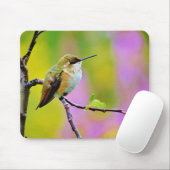 太った小さなハチドリ マウスパッド (マウス)