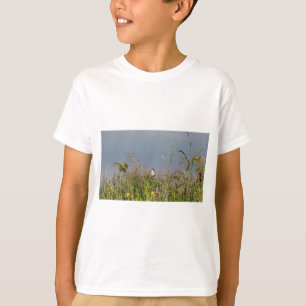 太った小さなハチドリ Tシャツ