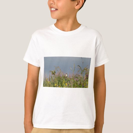 太った小さなハチドリ Tシャツ (正面)