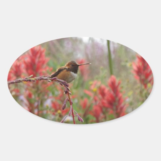 太った小鳥 楕円形シール (正面)