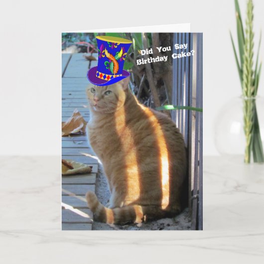 太った猫おもしろい折りグリーティングカード カード (正面)