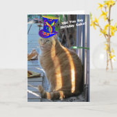 太った猫おもしろい折りグリーティングカード カード (黄色い花)