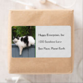 太った猫がフェンスに乗る ラベル (インサイチュ)