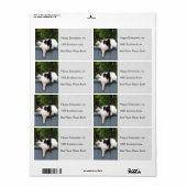 太った猫がフェンスに乗る ラベル (フルシート)