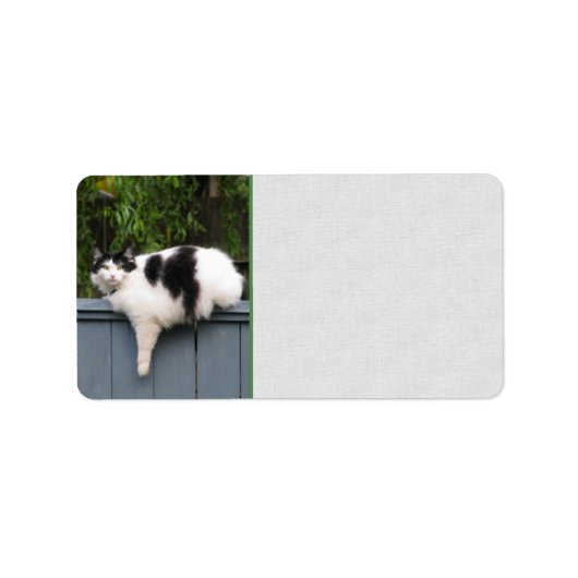 太った猫がフェンスに乗る ラベル (正面)