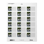 太った猫がフェンスに乗る ラベル (フルシート)