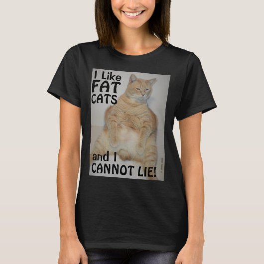 太った猫が好きで嘘はつけない! マンクス猫Tシャツ Tシャツ (正面)