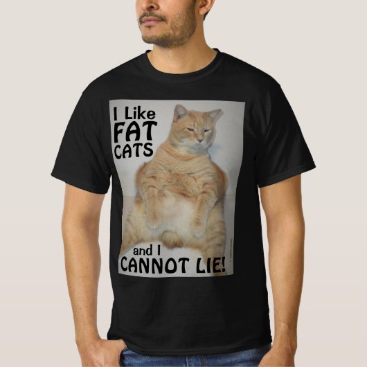 太った猫が好きで嘘はつけない!面白いTシャツ Tシャツ (正面)