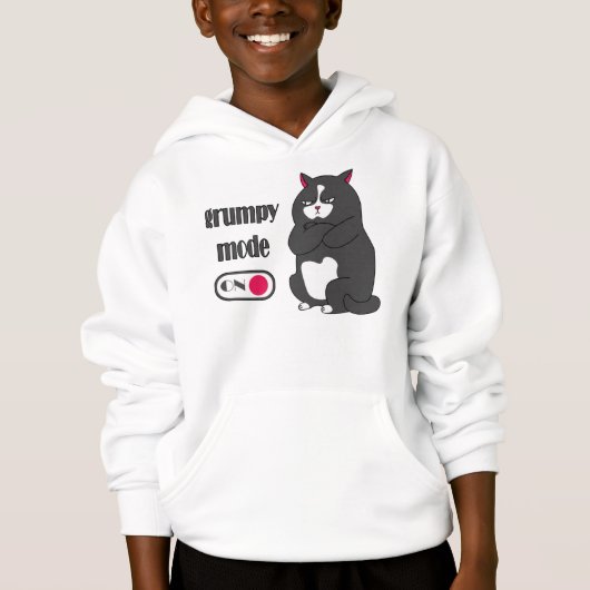 太った猫の不機嫌おもしろいモード (正面)