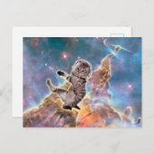 太った猫宇宙飛行士 ポストカード (正面/裏面)