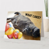 太った猫食べがケーキの大おもしろいきな誕生日カード カード (正面)