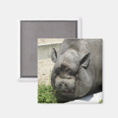 太った豚 |農地 マグネット (正面/裏面)