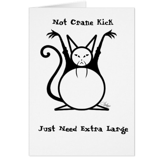 太った飼い猫 (正面)