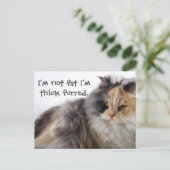 太ってない!毛が厚いだけ ポストカード (スタンド正面)