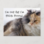 太ってない!毛が厚いだけ ポストカード (正面)