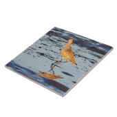 太平洋でゴドウィット大佐が大行進した タイル (側面)