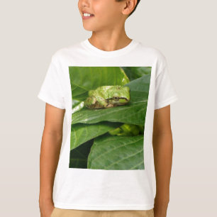 太平洋のアマガエル- Tシャツ