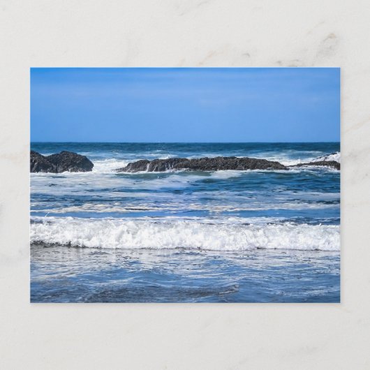 太平洋のシールロックオレゴン海岸海 ポストカード (正面)