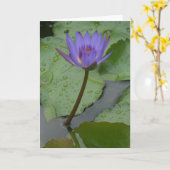 太平洋のスイレン(Nymphaeceae) カード (黄色い花)