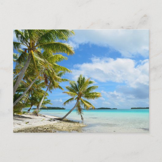 太平洋のパラオ島 ポストカード (正面)