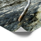 太平洋のポスターに死んだ木材 ポスター (角)