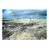 太平洋の写真の死んだ木材 フォトプリント (正面)