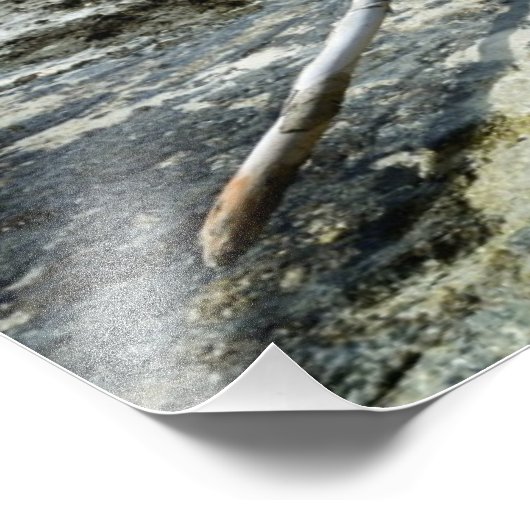 太平洋の写真の死んだ木材 フォトプリント (角)