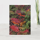 太平洋の北西からの幸せな休日 シーズンカード (正面)