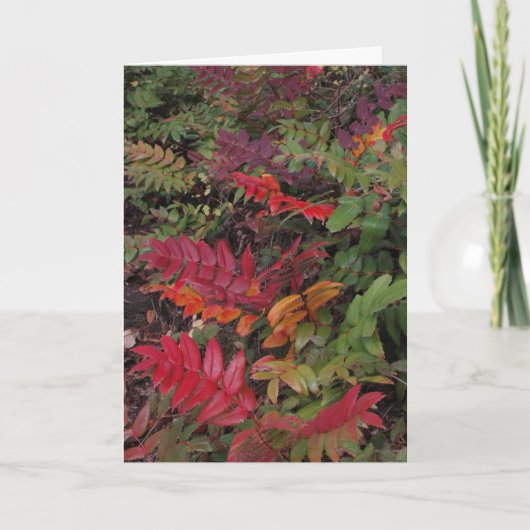 太平洋の北西からの幸せな休日 シーズンカード (正面)