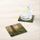 太平洋の北西森林|霧深い朝 スクエアペーパーコースター (インサイチュ)