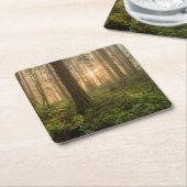 太平洋の北西森林|霧深い朝 スクエアペーパーコースター (アングル)