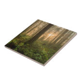 太平洋の北西森林|霧深い朝 タイル (側面)