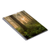 太平洋の北西森林|霧深い朝 ノートブック (右側)
