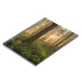 太平洋の北西森林|霧深い朝 ノートブック (左側)