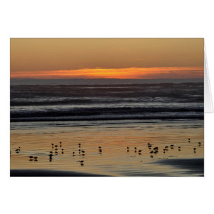 太平洋の夕日海