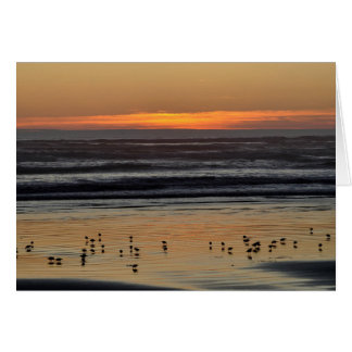 太平洋の夕日海