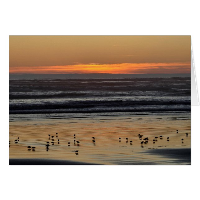 太平洋の夕日海 (正面横)