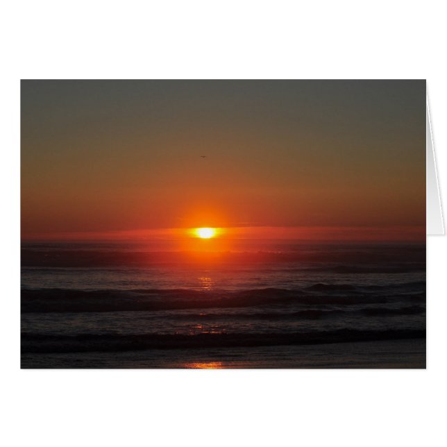太平洋の夕日海 (正面横)