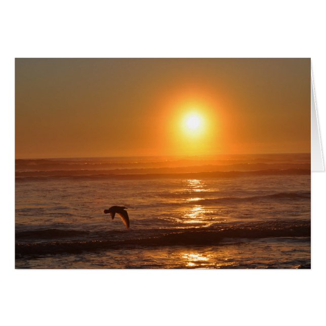 太平洋の夕日海 (正面横)