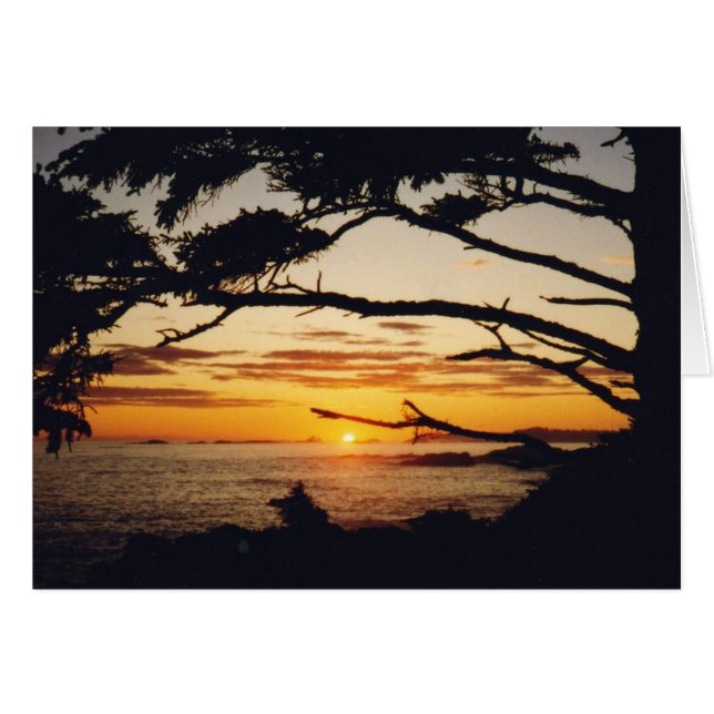 太平洋の日没 (正面横)