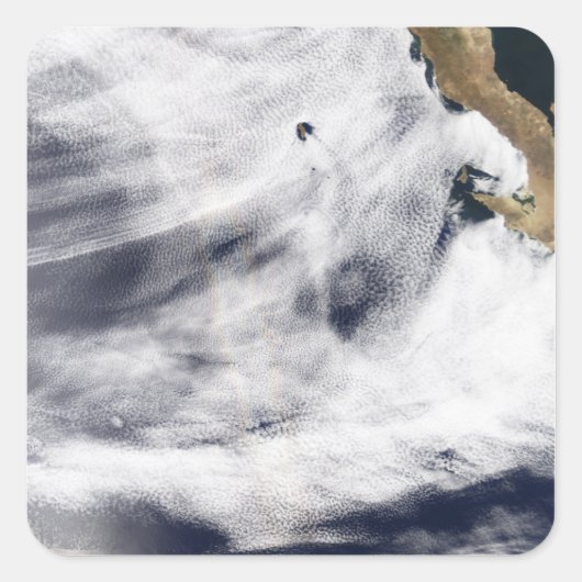 太平洋の栄光海 スクエアシール (正面)