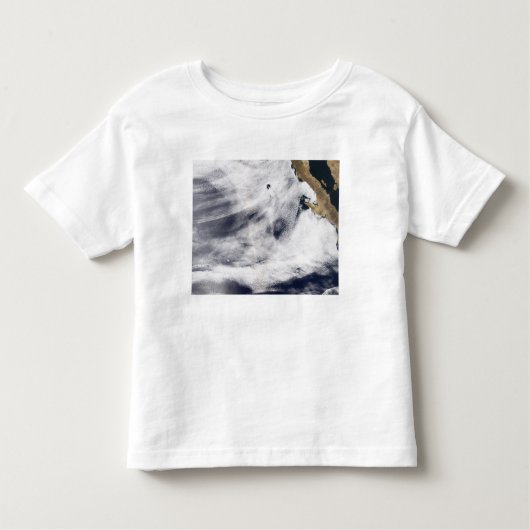 太平洋の栄光海 トドラーTシャツ (正面)