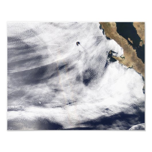 太平洋の栄光海 フォトプリント            (正面)
