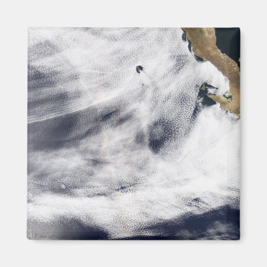 太平洋の栄光海 マグネット (正面)