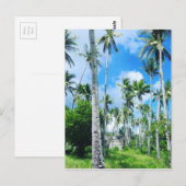 太平洋の楽園 ポストカード (正面/裏面)