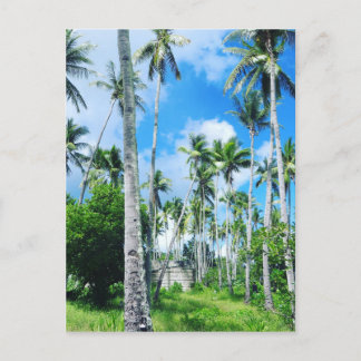 太平洋の楽園 ポストカード