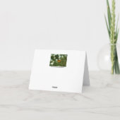 太平洋の油濁蝶 カード (裏面)